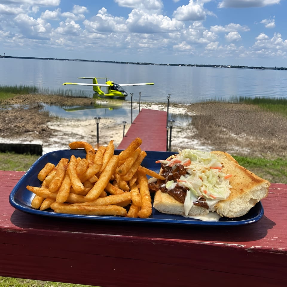 Plate of golden fries and a barbecue sandwich topped with coleslaw, overlooking a waterfront, dock, and seaplane.