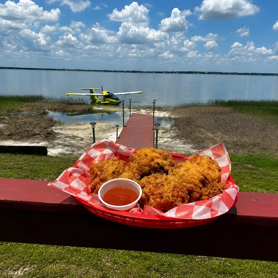 Basket of golden fried seafood with dipping sauce overlooking a lakeside dock and seaplane under a cloudy blue sky.